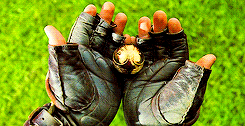 640 (2).gif
