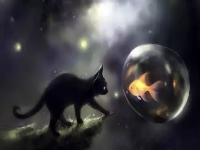 七夕节,人间七种恋情哪个属于你?星空下的情爱盘点(附解药)