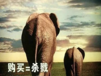 吃素你就灵（下）：素食&极乐天堂