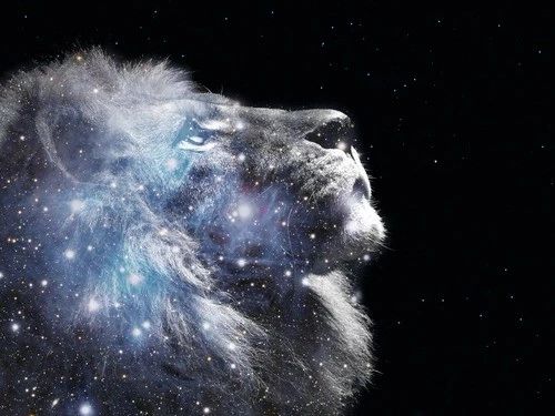 狮子座日食 | 时空传送门打开 找到你自己的本心 （附十二星座指引）