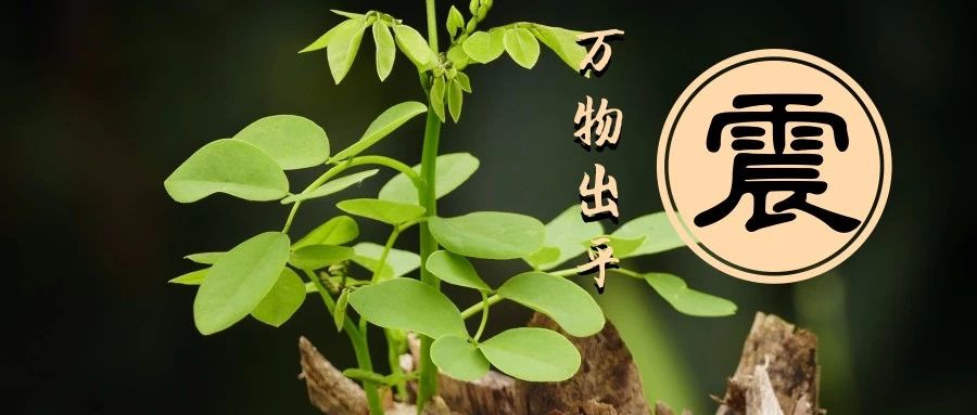 今天开始，是时候大干一场了！