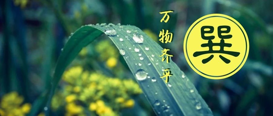 田鼠变鹌鹑、龙初现？阴阳相交的“清明风”到底多厉害