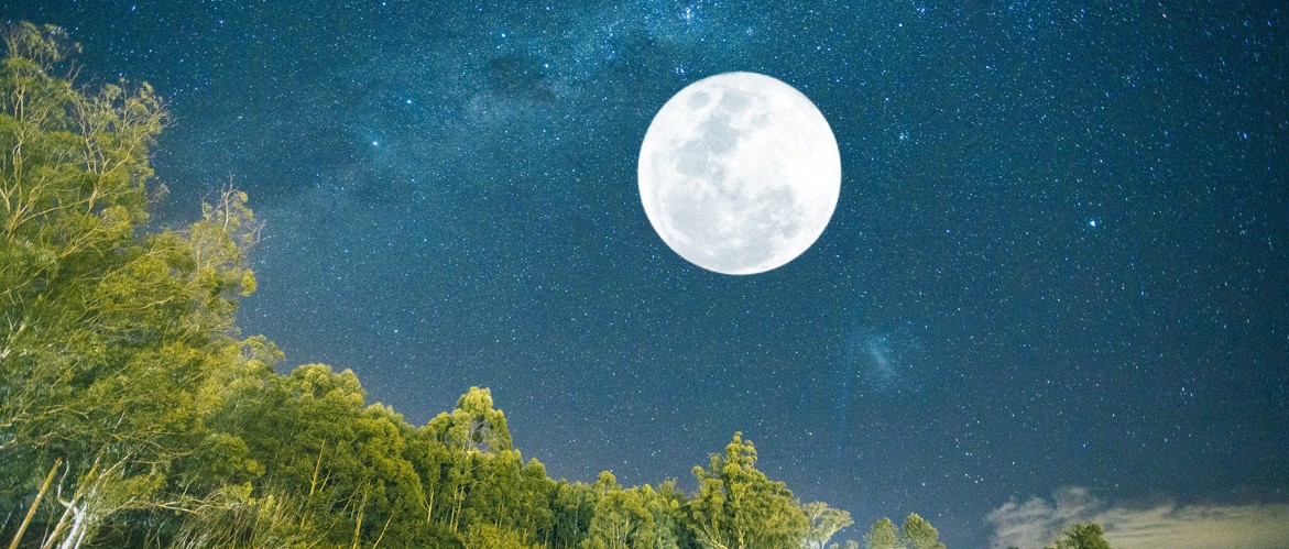 冥王发力、木星相助，这个白羊座满月，不健康的关系就要扔掉（附花精指南）